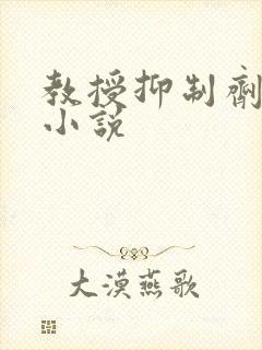 教授抑制剂要吗小说