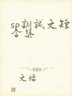 sp训诫文短篇合集