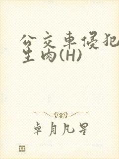 公交车侵犯小男生肉(H)