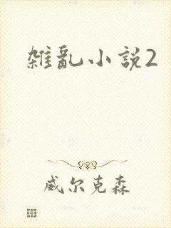 杂乱小说2