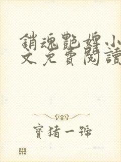 销魂艳婢小说全文免费阅读