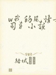 w我的风情女上司》小说封面