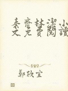 秦齐林洁小说全文免费阅读封面
