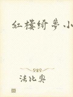 红楼绮梦小说