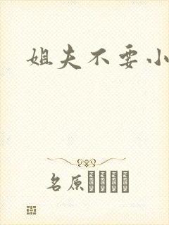 姐夫不要小说