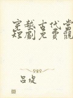穿越古代当家丁短剧免费观看