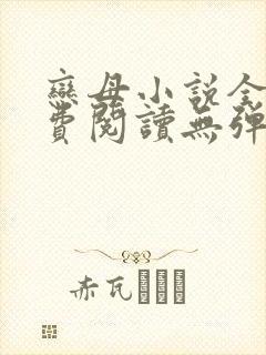 恋母小说全文免费阅读无弹窗笔趣阁