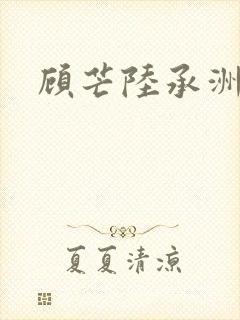 顾芒陆承洲封面