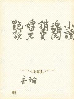 艳婢销魂小桃小说免费阅读