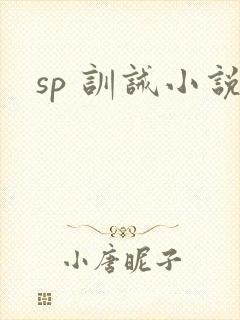 sp 训诫小说