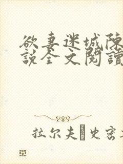 欲妻迷城陈静小说全文阅读封面