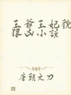 王爷王妃貌美还狠凶小说