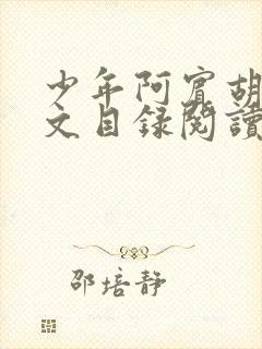 少年阿宾胡太全文目录阅读在线封面