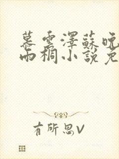 慕云泽苏晚晴夏雨桐小说免费阅读