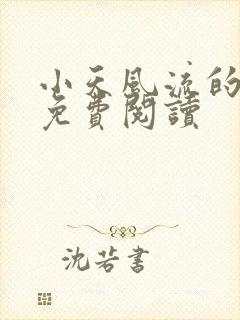 小天风流的小说免费阅读