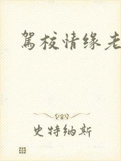 驾校情缘老赵封面