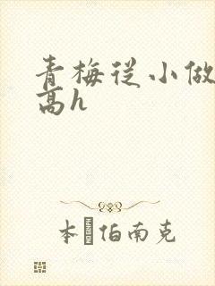 青梅从小做到大高h封面
