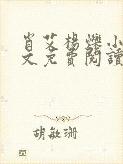肖艾杨烁小说全文免费阅读笔趣阁