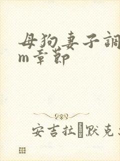 母狗妻子调教sm章节封面