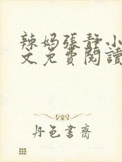辣妈张静小说全文免费阅读