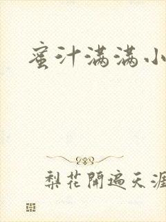 蜜汁满满小说