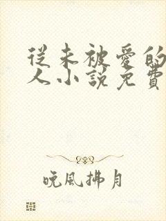 从未被爱的可怜人小说免费阅读封面