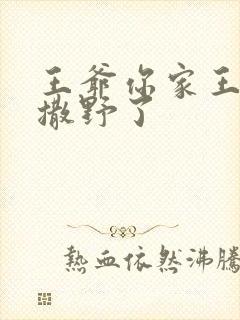 王爷你家王妃又撒野了封面
