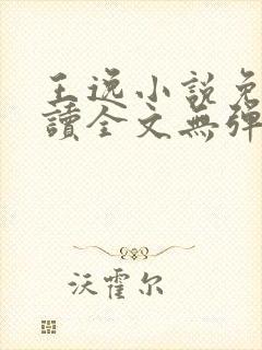 王逸小说免费阅读全文无弹窗封面
