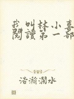 我叫林小喜全文阅读第一部