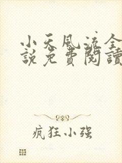 小天风流全集小说免费阅读