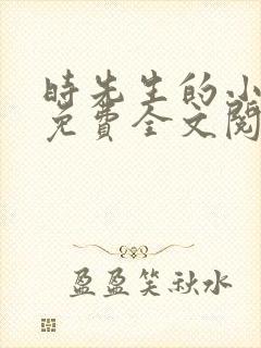 时先生的小甜妻免费全文阅读封面