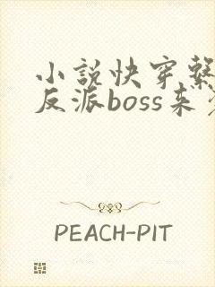 小说快穿系统之反派boss来袭免费阅读