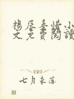 杨辰秦惜小说全文免费阅读最新章节更新