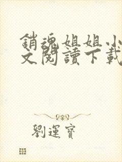 销魂姐姐小说全文阅读下载