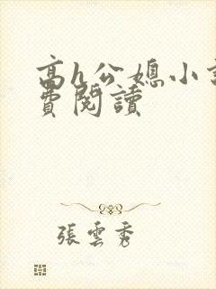 高h公媳小说免费阅读