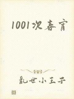 1001次春宵封面
