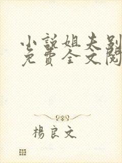 小说姐夫别过来免费全文阅读封面