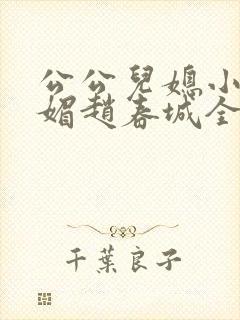 公公儿媳小说苏媚赵春城全文阅读