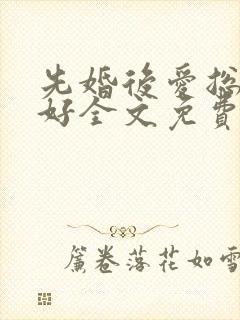 先婚后爱总裁你好全文免费阅读