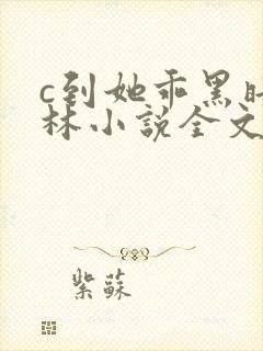 c到她乖黑暗森林小说全文阅读