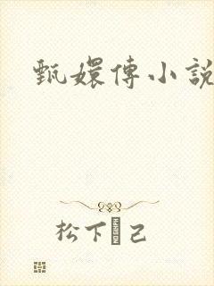 甄嬛传小说
