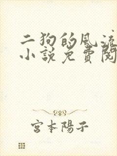 二狗的风流人生小说免费阅读封面