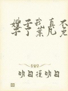 嫂子我真不是傻子了叶凡免费阅读封面