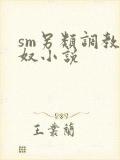 sm另类调教女奴小说
