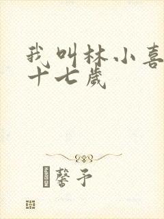 我叫林小喜今年十七岁封面