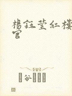 杨钰莹红楼醉高官封面