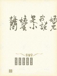 梅姨是我妈妈的闺蜜小说免费阅读