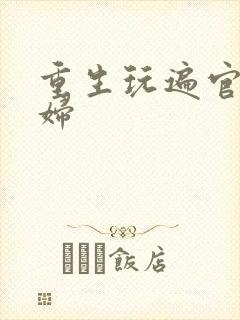重生玩遍官场贵妇