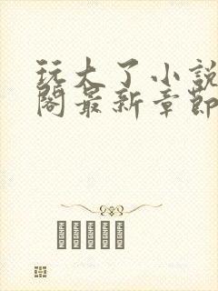 玩大了小说笔趣阁最新章节无弹窗封面