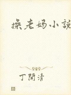 操老妈小说封面